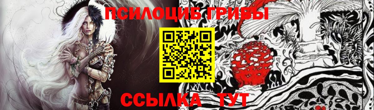 Набережные Челны  Галлюциногенные грибы Psilocybe  Вход с VPN 